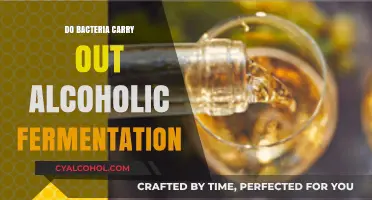 Do Bacteria Perform Alcoholic Fermentation? Exploring Microbial Metabolism