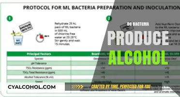 Do Bacteria Brew Alcohol? Exploring Microbial Fermentation Processes