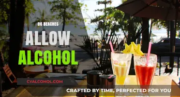 Can You Bring Alcohol to the Beach? Rules and Regulations Explained