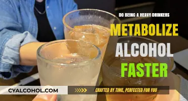Heavy Drinkers' Metabolism: Does Tolerance Speed Up Alcohol Breakdown?