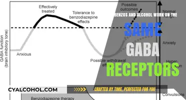 Benzos, Alcohol, and GABA: What's the Link?