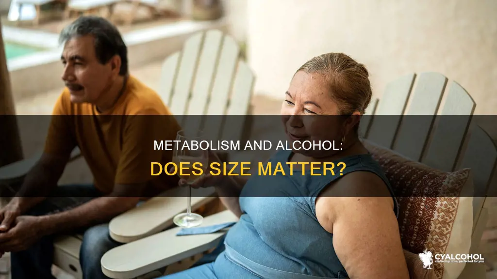 do bigger people metabolize alcohol quicker then skinner people
