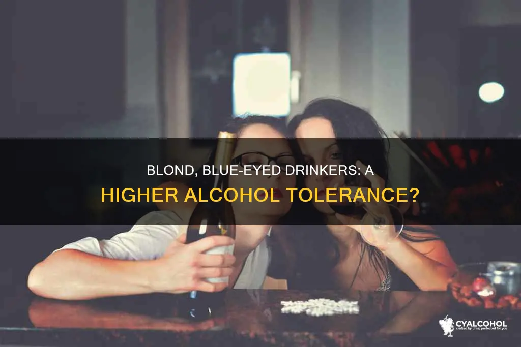 do blue eyed blond folk have higher alcohol tolerance