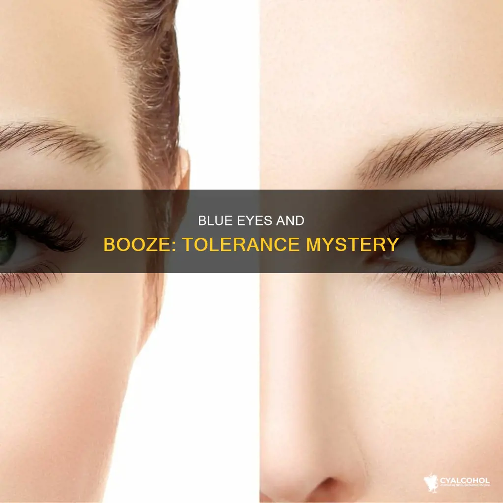 do blue eyed people have a higher alcohol tolreance