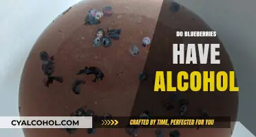 Blueberries and Alcohol: Unraveling the Myth of Fermented Fruits