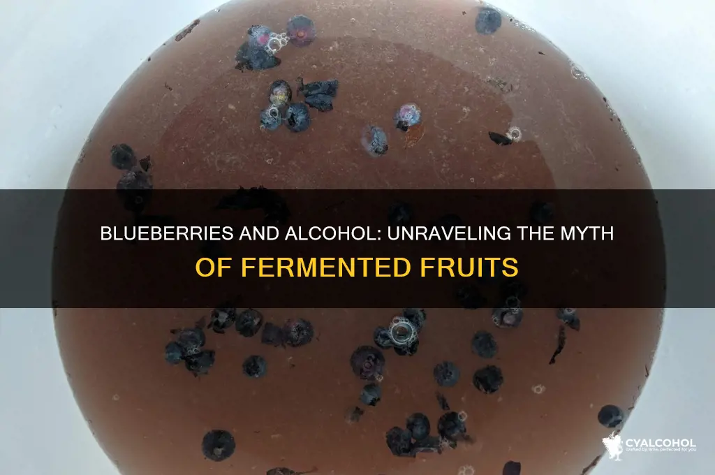 do blueberries have alcohol