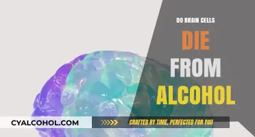 Does Alcohol Kill Brain Cells? Uncovering the Truth About Drinking