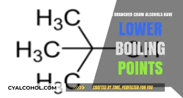 Branched Chain Alcohols: Boiling Point Trends and Structural Impact