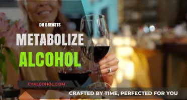 Do Breasts Metabolize Alcohol? Unraveling the Science Behind the Myth