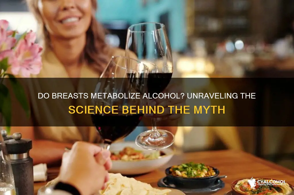 do breasts metabolize alcohol