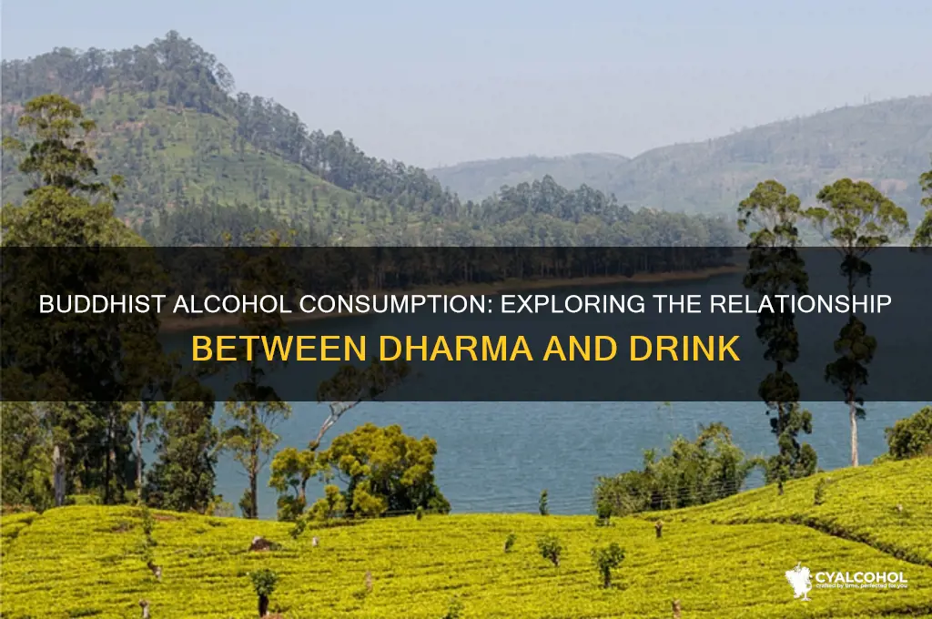 do buddhist consume alcohol