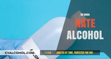 Do Bugs Despise Alcohol? Unraveling the Truth Behind the Myth