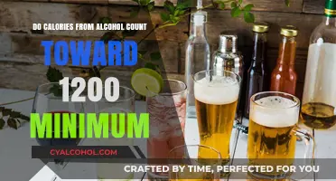 Do Alcohol Calories Count Toward Your 1200 Minimum Intake?