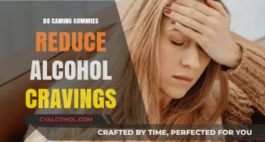 Can Camino Gummies Help Curb Alcohol Cravings? A Detailed Review