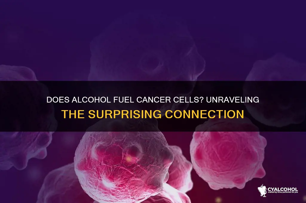do cancer cells feed on alcohol