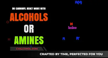 Carbonyl Reactions: Comparing Alcohol and Amine Reactivity Mechanisms