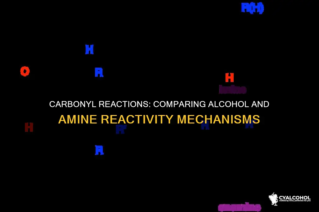 do carbonyl react more with alcohols or amines