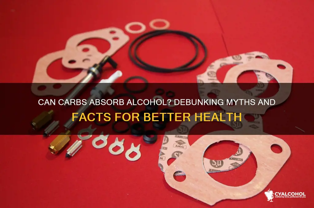 do carbs absorb alcohol