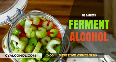 Can Carrots Ferment Alcohol? Exploring the Science Behind Vegetable Fermentation