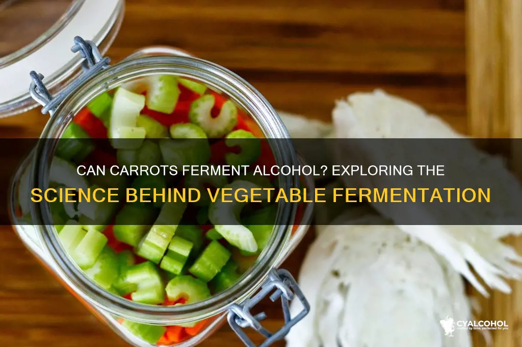 do carrots ferment alcohol