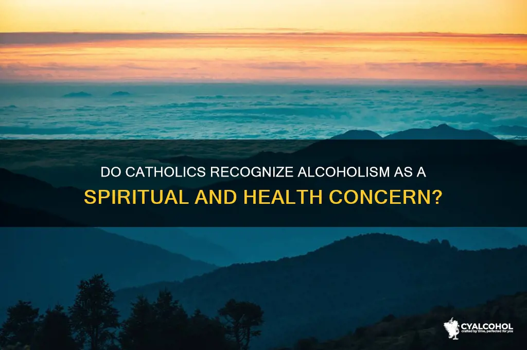 do cathoic recognize alcoholism