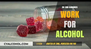 CBD Gummies for Alcohol Cravings: Do They Really Work?