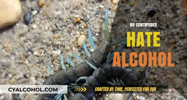 Do Centipedes Despise Alcohol? Unraveling the Myth and Facts