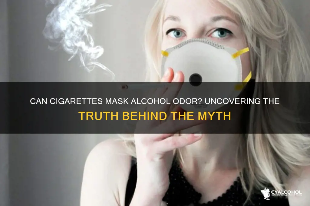 do cigarettes cover up alcohol smell