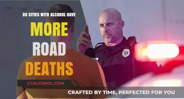 Alcohol Availability in Cities: Impact on Road Fatalities Explored
