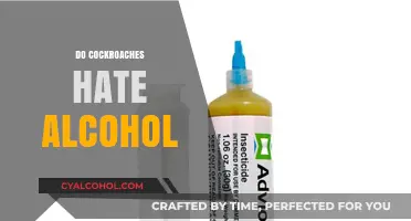 Cockroaches and Alcohol: Unraveling the Myth of Their Aversion