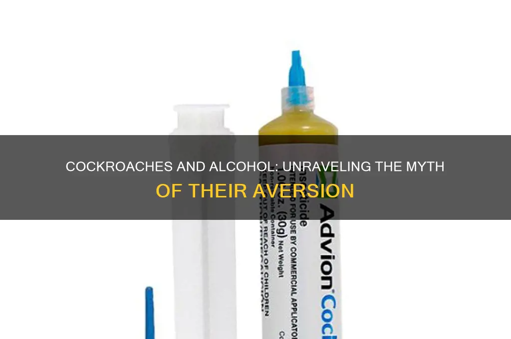 do cockroaches hate alcohol