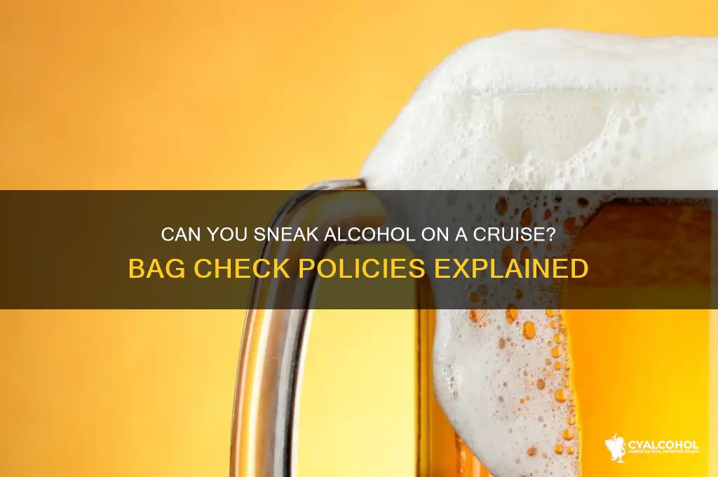 Can You Sneak Alcohol On A Cruise? Bag Check Policies Explained | CyAlcohol