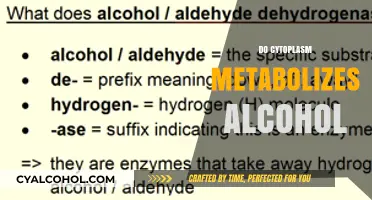 Does Cytoplasm Metabolize Alcohol? Exploring Cellular Processes and Detoxification