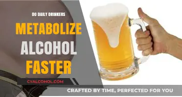 Daily Drinkers' Metabolism: Does Regular Alcohol Consumption Speed Up Processing?