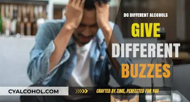 Exploring Alcohol Varieties: Do Different Drinks Deliver Unique Buzz Experiences?