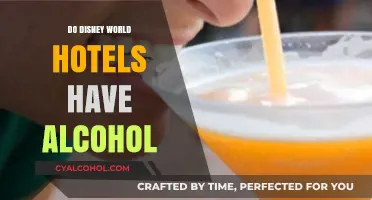 Disney World Hotels and Alcohol: What You Need to Know