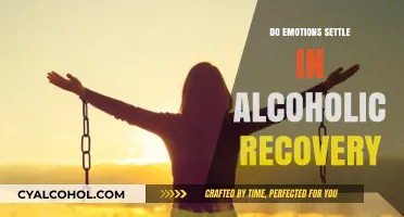 Emotional Healing in Alcoholic Recovery: Do Feelings Truly Settle?