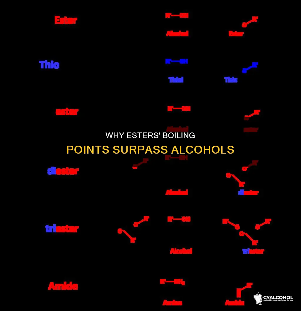 do esters have a higher boiling point than alcohols