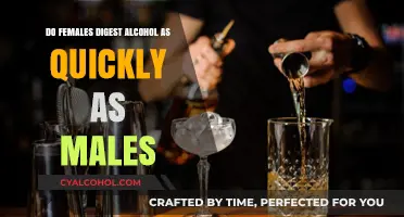 Gender and Alcohol Metabolism: Do Women Digest Alcohol as Fast as Men?
