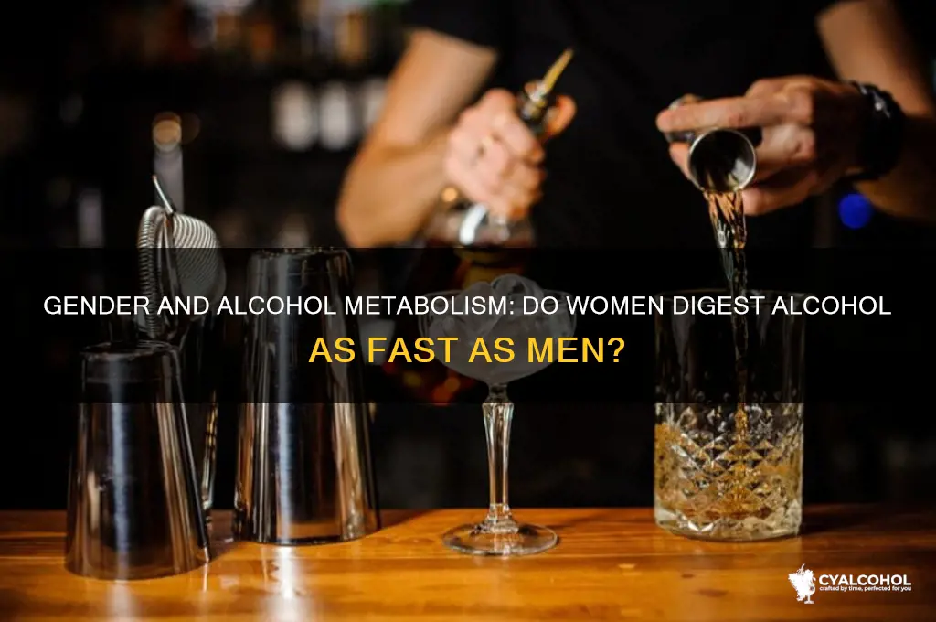 do females digest alcohol as quickly as males