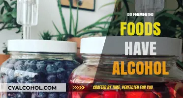 Fermented Foods and Alcohol: Unveiling the Surprising Truth Behind the Buzz