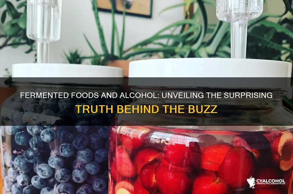 do fermented foods have alcohol