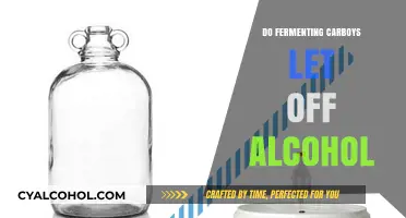 Do Fermenting Carboys Release Alcohol? Understanding the Process