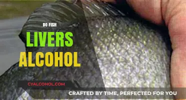 Can Fish Get Drunk? Exploring Alcohol's Impact on Aquatic Livers