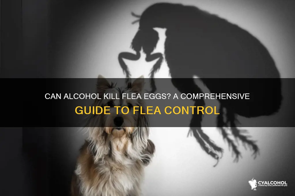 do flea eggs die with alcohol