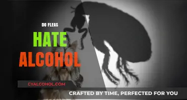 Do Fleas Hate Alcohol? Uncovering the Truth Behind This Myth