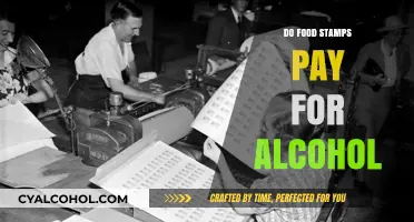 Can You Buy Alcohol with Food Stamps? Facts and Myths Explained