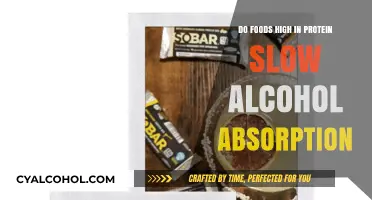 Protein-Rich Foods: Do They Slow Alcohol Absorption in Your Body?