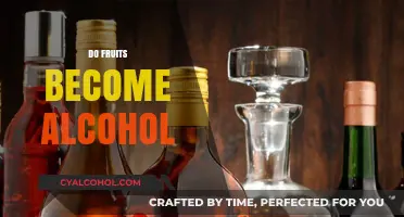 Can Fruits Ferment? The Surprising Science Behind Alcohol Formation