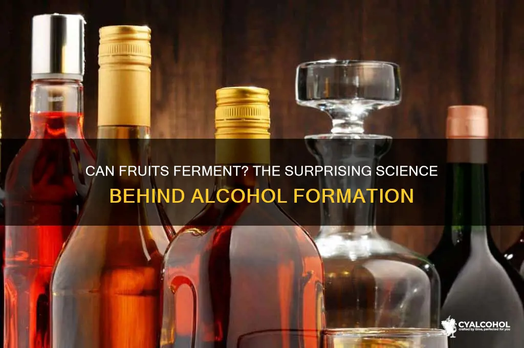 do fruits become alcohol